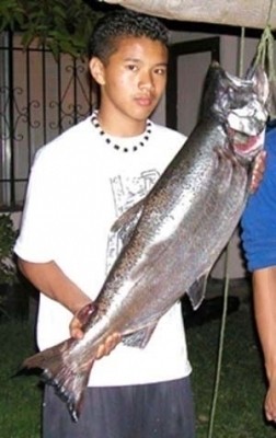 Photo of Salmon Caught by Aaron with Mepps  in California