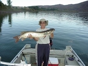 Photo of Musky Caught by Kim with Mepps  in Utah