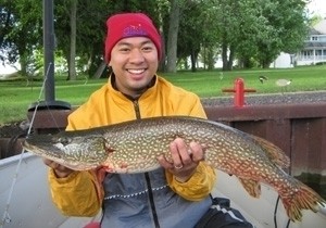 Photo of Pike Caught by Eugene with Mepps  in Canada