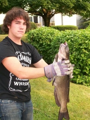 Photo of Catfish Caught by Ian with Mepps Black Fury in Illinois