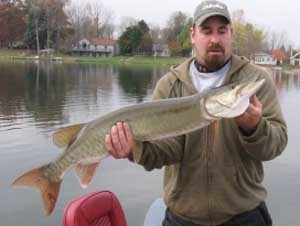 Photo of Musky Caught by Brett with Mepps Mepps Marabou in Michigan