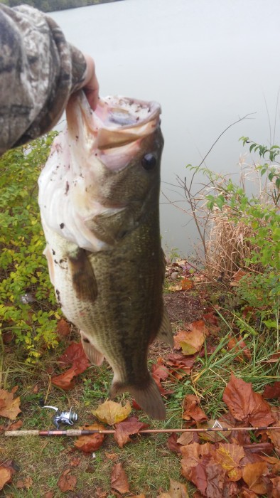 Photo of Bass Caught by Michael with Mepps Aglia Marabou in United States