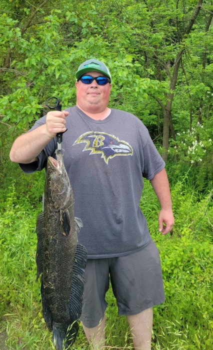 Photo of Snakehead Caught by Nick with Mepps Aglia Marabou in Maryland