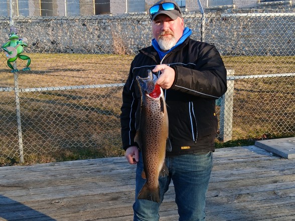 Photo of Trout Caught by Mike with Mepps Comet Mino in Wisconsin