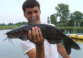 Photo of Catfish Caught by Brandon with Mepps Little Wolf in Michigan