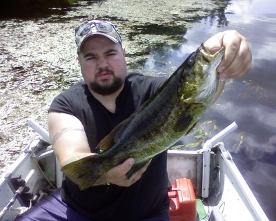 Photo of Bass Caught by Dave with Mepps Comet Mino in New York