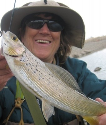 Photo of Grayling Caught by Wendy with Mepps Aglia & Dressed Aglia in Montana