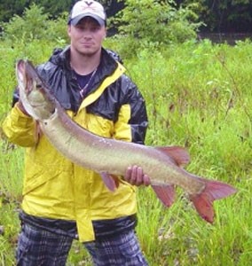 Photo of Musky Caught by Robert with Mepps Musky Killer in United States