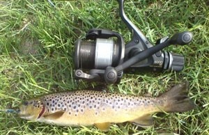 Photo of Trout Caught by Conor  with Mepps Thunder Bug in United Kingdom