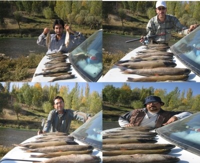 Photo of Trout Caught by Mehrzad with Mepps Aglia & Dressed Aglia in Iran