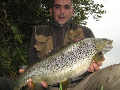 Photo of Trout Caught by Igor with Mepps Spin Flies in Bosnia and Herzegovina