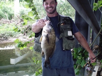 Photo of Drum Caught by Jeffrey with Mepps Aglia Long in Missouri