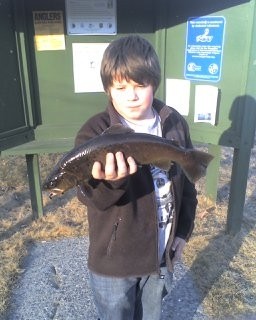 Photo of Trout Caught by Gus  with Mepps Little Wolf in New Hampshire