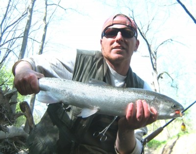 Photo of Steelhead Caught by Ted with Mepps Aglia & Dressed Aglia in Indiana