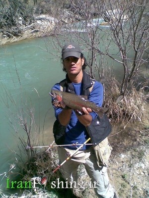 Photo of Trout Caught by Ebrahim with Mepps Aglia & Dressed Aglia in Iran