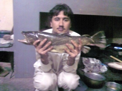 Photo of Trout Caught by Ihtisham with Mepps Aglia & Dressed Aglia in Pakistan