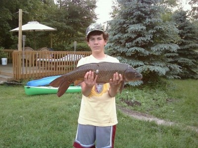 Photo of Carp Caught by Marcus  with Mepps Aglia Long in Michigan