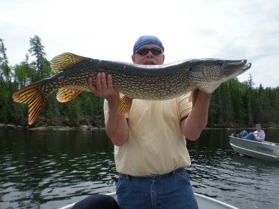 Photo of Pike Caught by Charlie with Mepps Aglia & Dressed Aglia in Manitoba