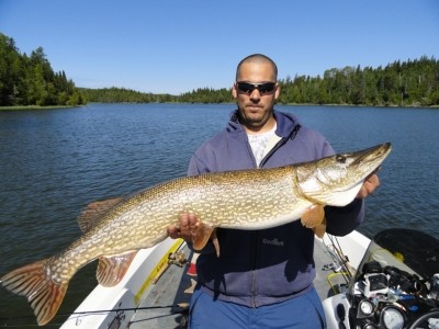 Photo of Pike Caught by Steve with Mepps Aglia & Dressed Aglia in Michigan
