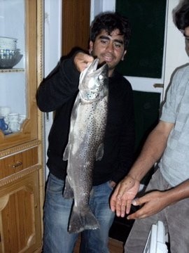 Photo of Trout Caught by Ata with Mepps Aglia & Dressed Aglia in India