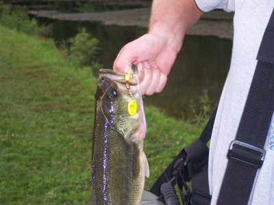 Photo of Bass Caught by Tony with Mepps Aglia Marabou in Michigan