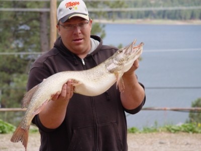 Photo of Pike Caught by Dennis with Mepps Magnum Musky Killer in United States