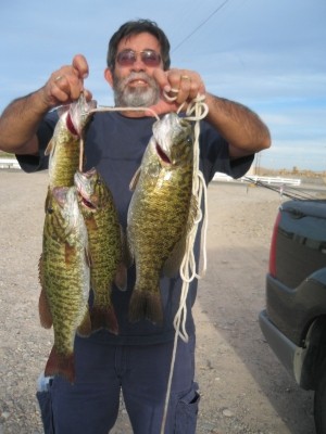 Photo of Bass Caught by Ricardo with Mepps Aglia & Dressed Aglia in California