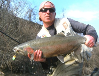 Photo of Steelhead Caught by Ted with Mepps Aglia & Dressed Aglia in Indiana