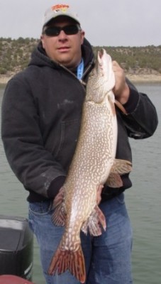 Photo of Pike Caught by Dennis with Mepps Musky Killer in United States