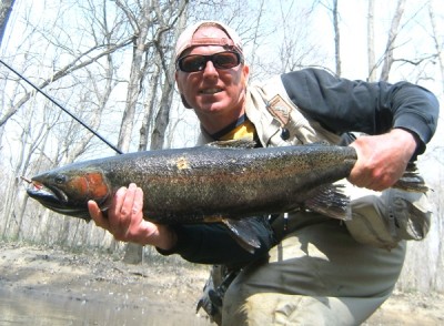 Photo of Steelhead Caught by Ted with Mepps Aglia & Dressed Aglia in Michigan