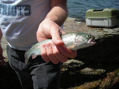 Photo of Trout Caught by William with Mepps XD in Vermont