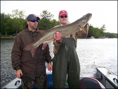 Photo of Musky Caught by Todd  with Mepps Musky Killer in Minnesota