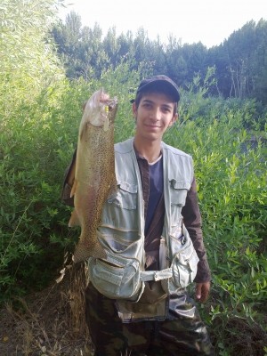 Photo of Trout Caught by Amir with Mepps Spin Flies in Iran