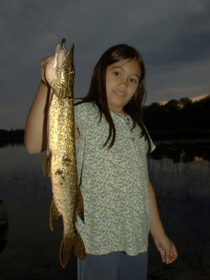 Photo of Pike Caught by Haley with Mepps Black Fury in Michigan
