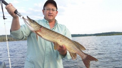 Photo of Pike Caught by Mark W with Mepps Aglia & Dressed Aglia in Maine