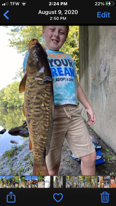 Photo of Carp Caught by Gunnar with Mepps Aglia & Dressed Aglia in New York