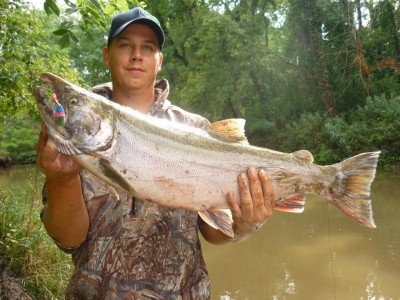 Photo of Salmon Caught by Dennis with Mepps Aglia Long in Indiana