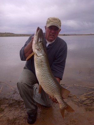 Photo of Musky Caught by Larry J. with Mepps Musky Killer in Utah