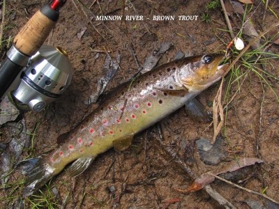 Photo of Trout Caught by Adrian with Mepps Aglia Ultra Lites in United States