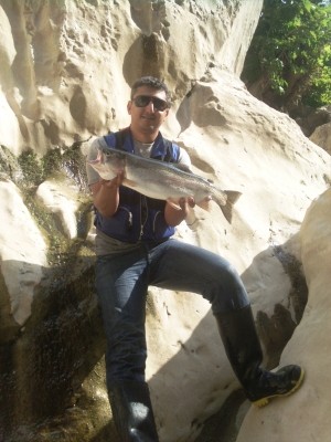Photo of Trout Caught by Hamed with Mepps Aglia & Dressed Aglia in United States