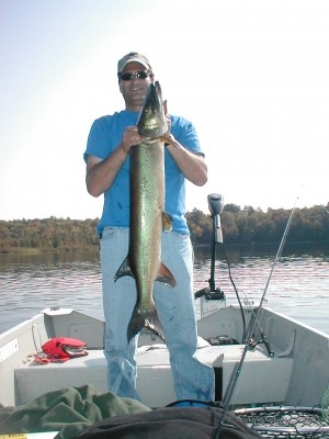 Photo of Musky Caught by Frank with Mepps Aglia & Dressed Aglia in Wisconsin