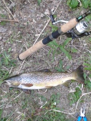 Photo of Trout Caught by Eddie with Mepps Aglia & Dressed Aglia in Michigan