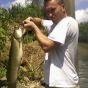 Photo of Bowfin Caught by Ryan with Mepps Aglia & Dressed Aglia in Illinois