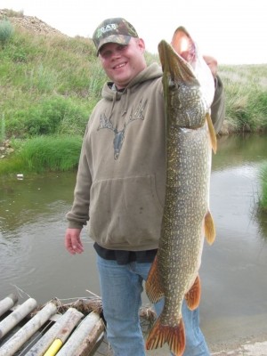 Photo of Pike Caught by Hank with Mepps Little Wolf in North Dakota