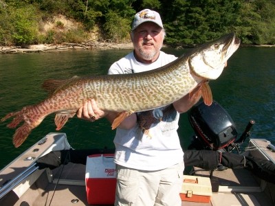 Photo of Tiger Musky Caught by Kim with Mepps  in Washington