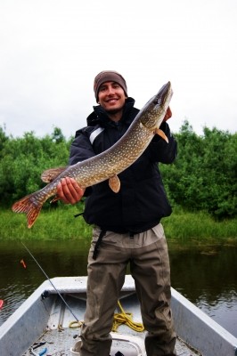 Photo of Pike Caught by Justin with Mepps Flying C in Alaska
