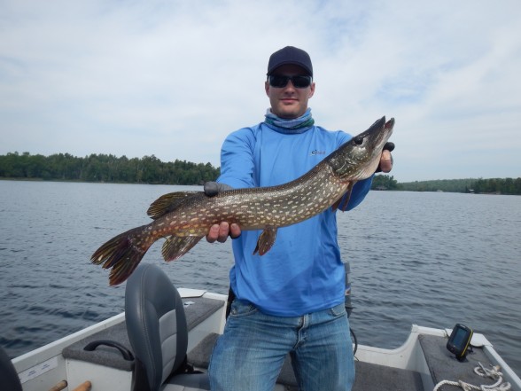 Photo of Pike Caught by Jeff with Mepps Aglia Marabou in Minnesota
