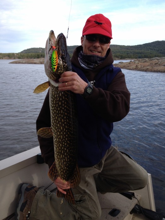 Photo of Pike Caught by Dave with Mepps Syclops Lite in Ontario
