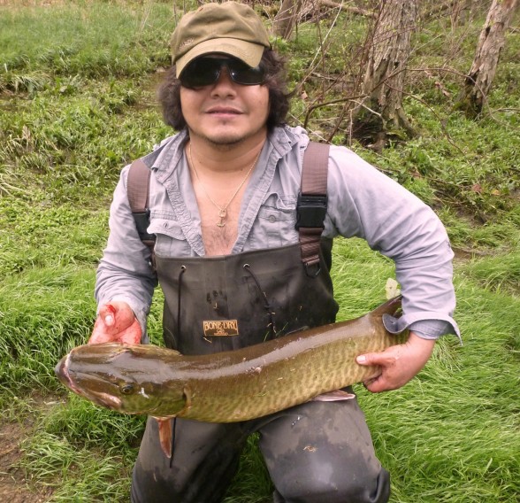 Photo of Musky Caught by Diego with Mepps Giant Killer in Ohio