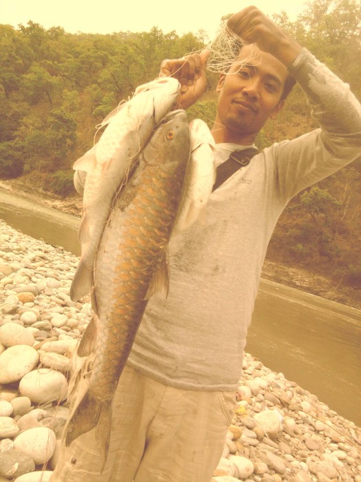 Photo of Golden Mahseer Caught by Rakesh with Mepps LongCast in India